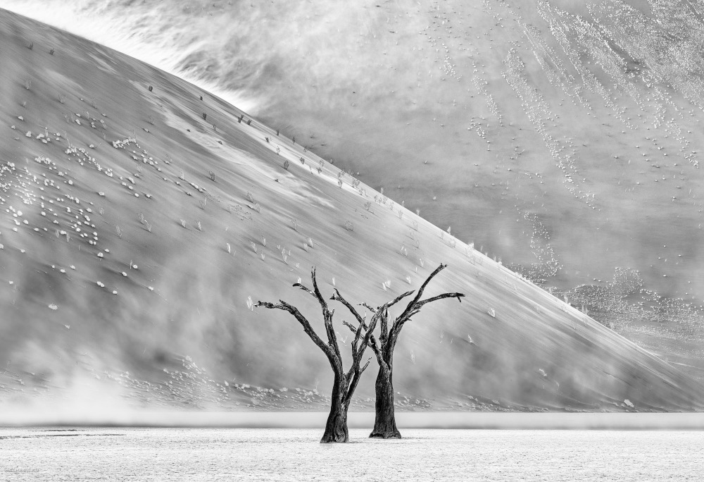 Deadvlei