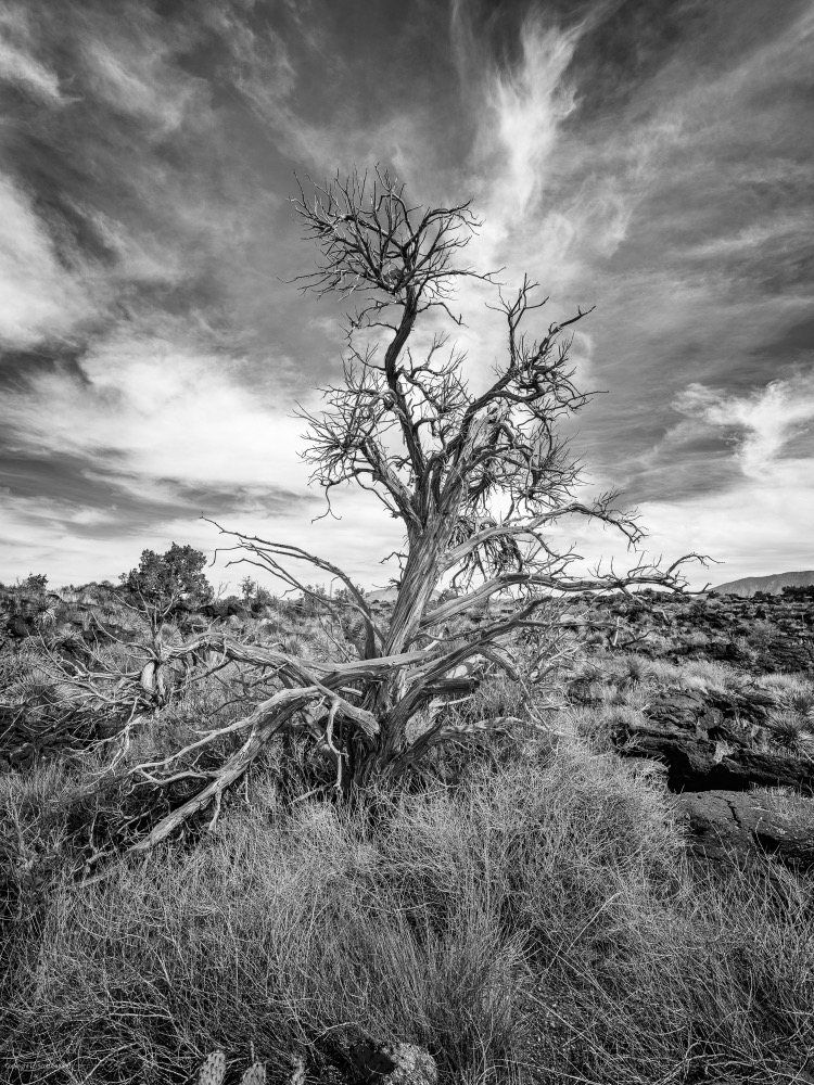 Carrizozo State Park